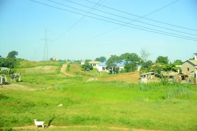 DSC_7691 (Large).JPG